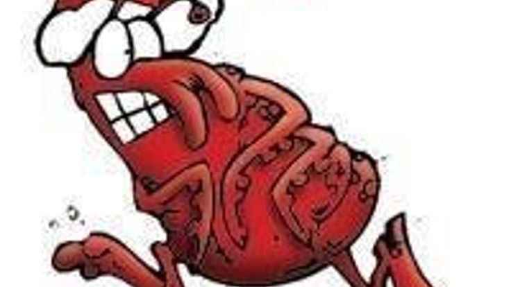 Chigger Chase cover
