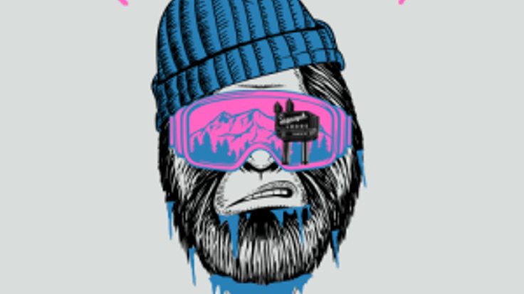 Frigid Forest 5K cover