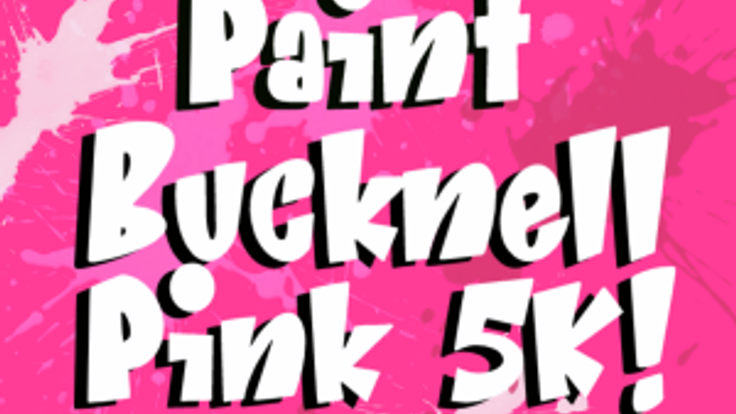Paint Bucknell Pink 5K cover