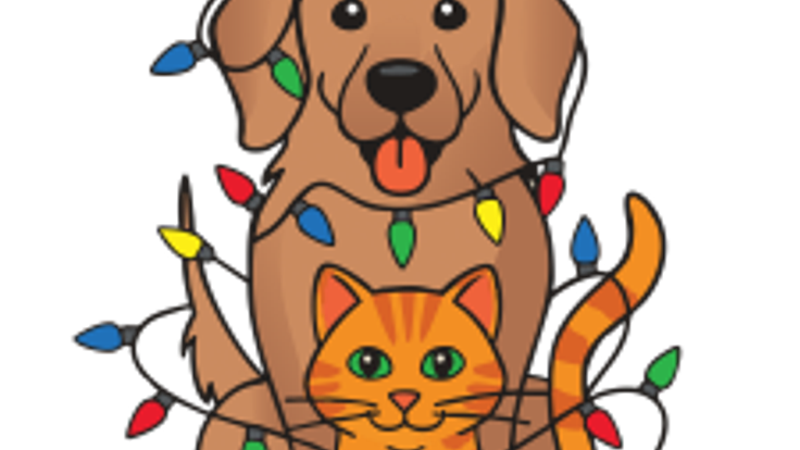 Lights 4 Paws cover