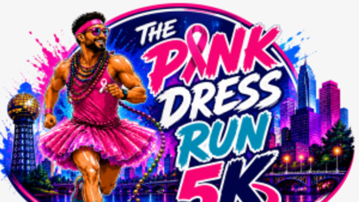 The Pink Dress Run cover