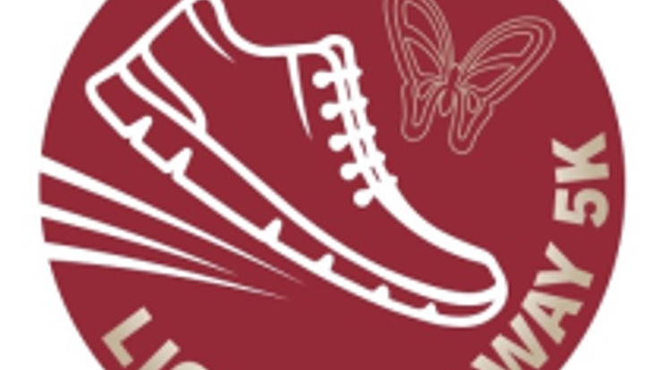 Dollywood's Light The Way 5k cover