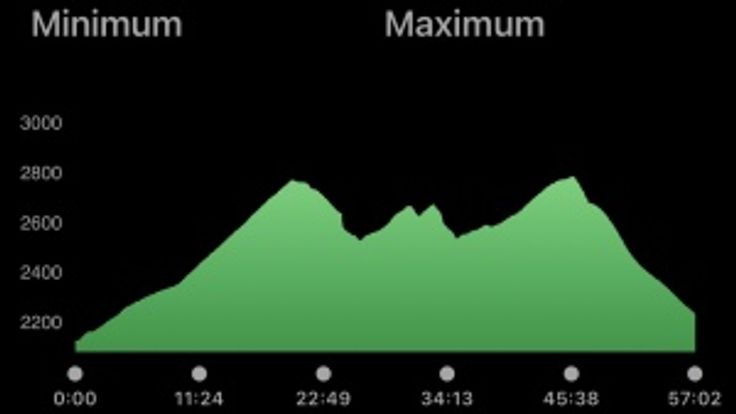 The Bat 5 Mile Road Race cover