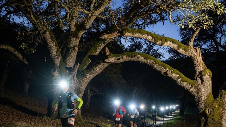 Subcarpați Trail Run by Night (STR by Night) cover