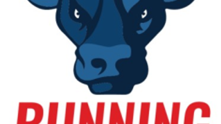 Running With The Bulls cover