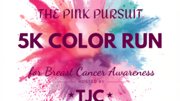 The Pink Pursuit cover