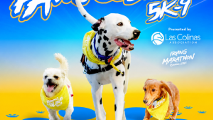 Paws Colinas 5k-9 Presented by Las Colinas Association cover