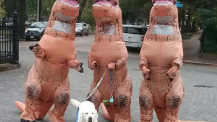 Richmond T. Rex Run cover