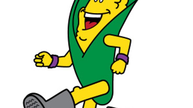 2026 Harvest Run 5K & Relay cover