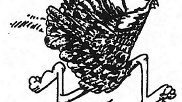 Running of the Turkeys cover