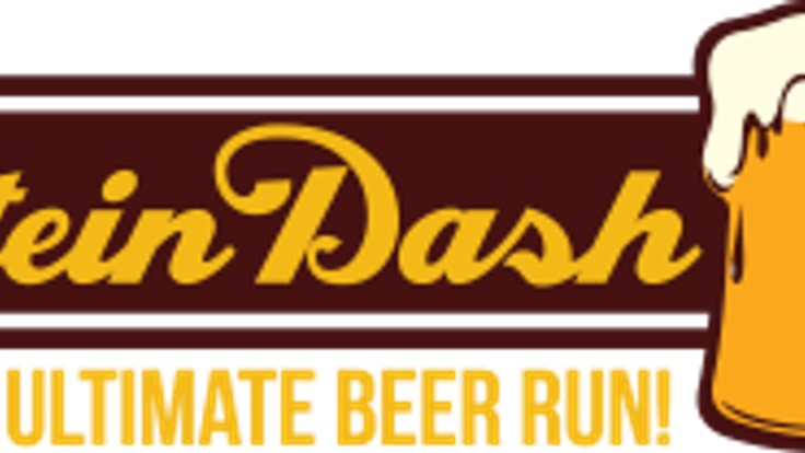 The Stein Dash cover
