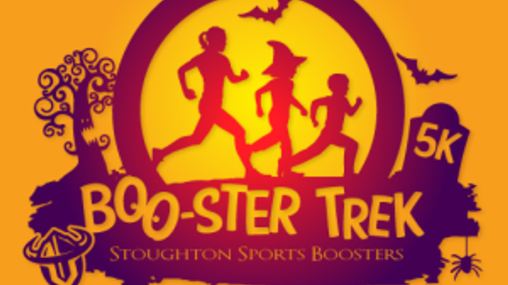Viking Booster Trek cover