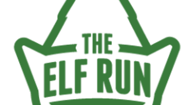 Elf Run cover