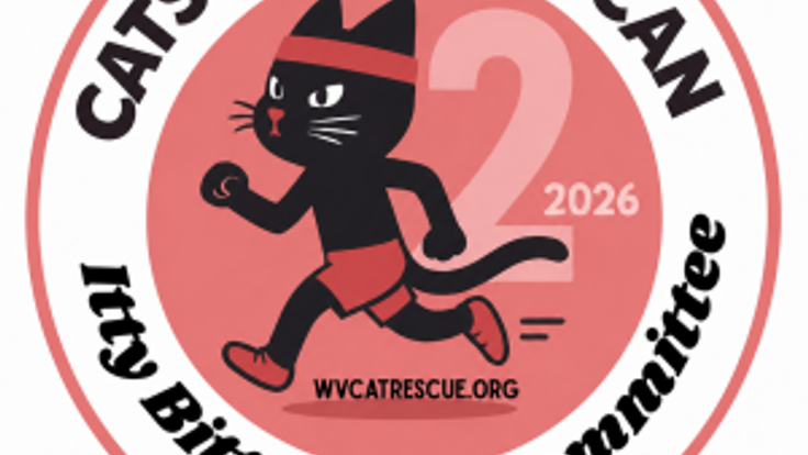 Itty Bitty Kitty 2 Miler cover