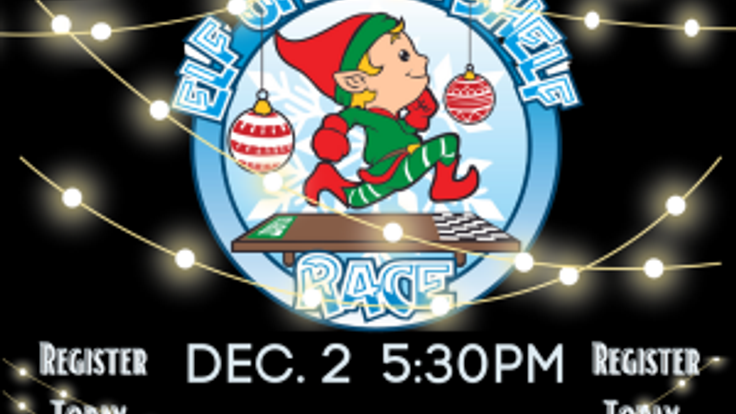 Elf Off the Shelf Fun Run cover