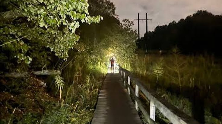 The Bones 5k cover