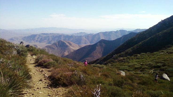 Mount Laguna Trail Marathon cover
