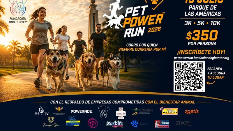PET POWER RUN