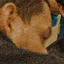 Detected person