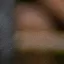 Detected person