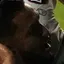Detected person