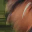 Detected person