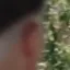 Detected person