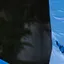 Detected person