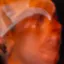 Detected person