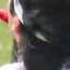 Detected person