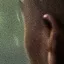 Detected person