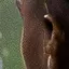 Detected person