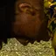 Detected person