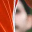 Detected person