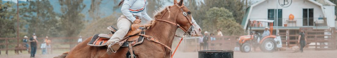 Rodeo AMCB by RGB VISUAL cover