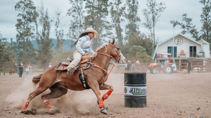 Rodeo AMCB