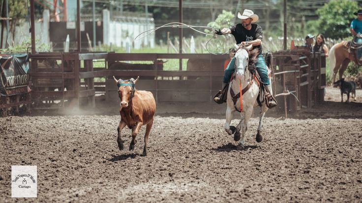 RODEO (TIENDA VAQUERA D MECATES)