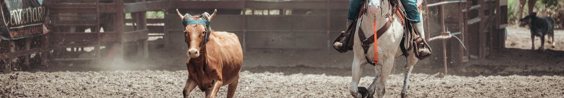 RODEO (TIENDA VAQUERA D MECATES) by RGB VISUAL cover